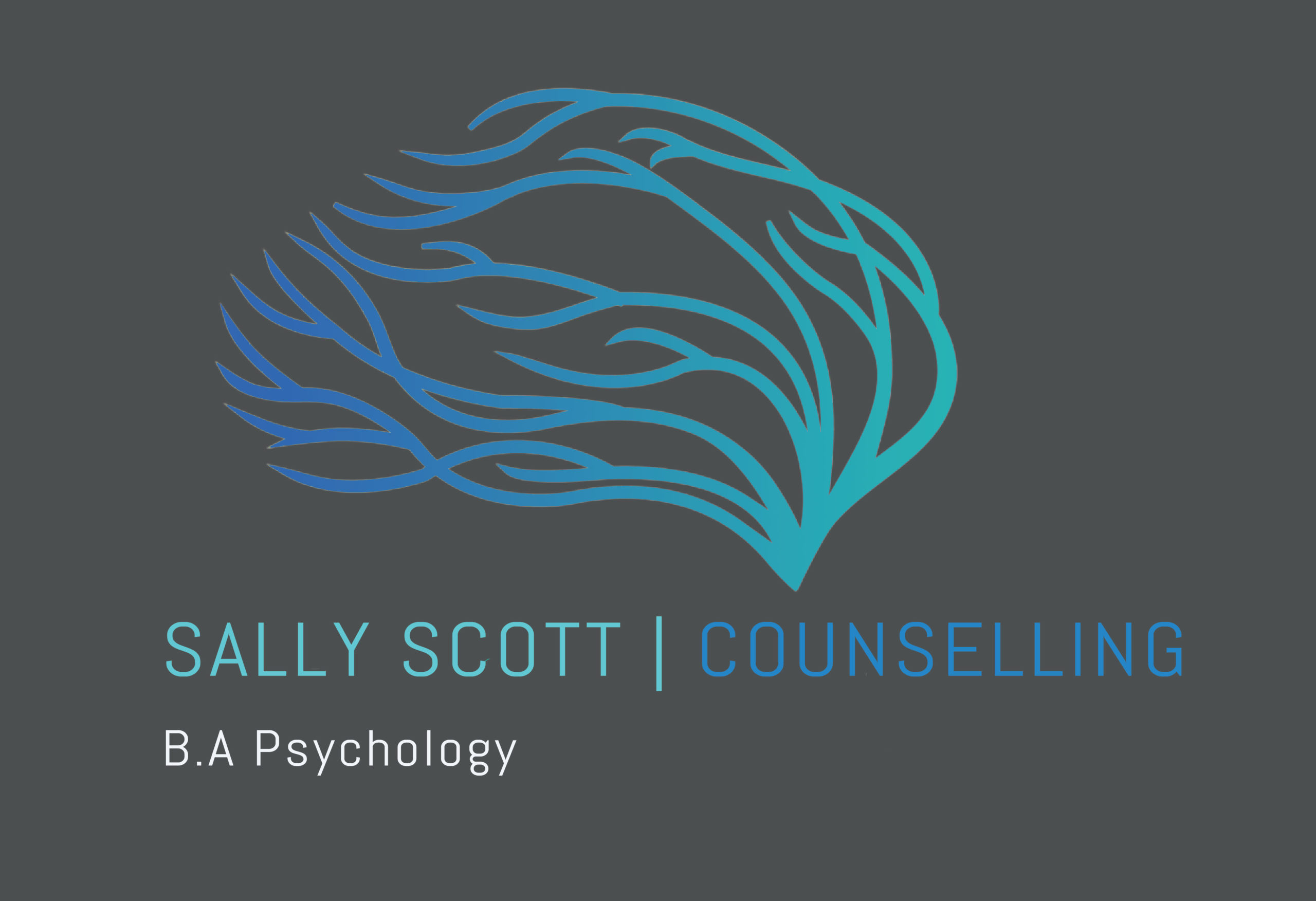 about-sally-scott-counselling